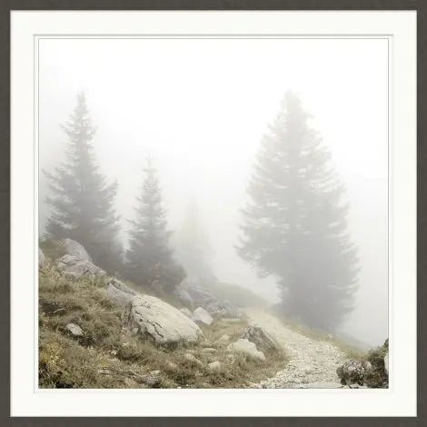 Mountain Fog 1